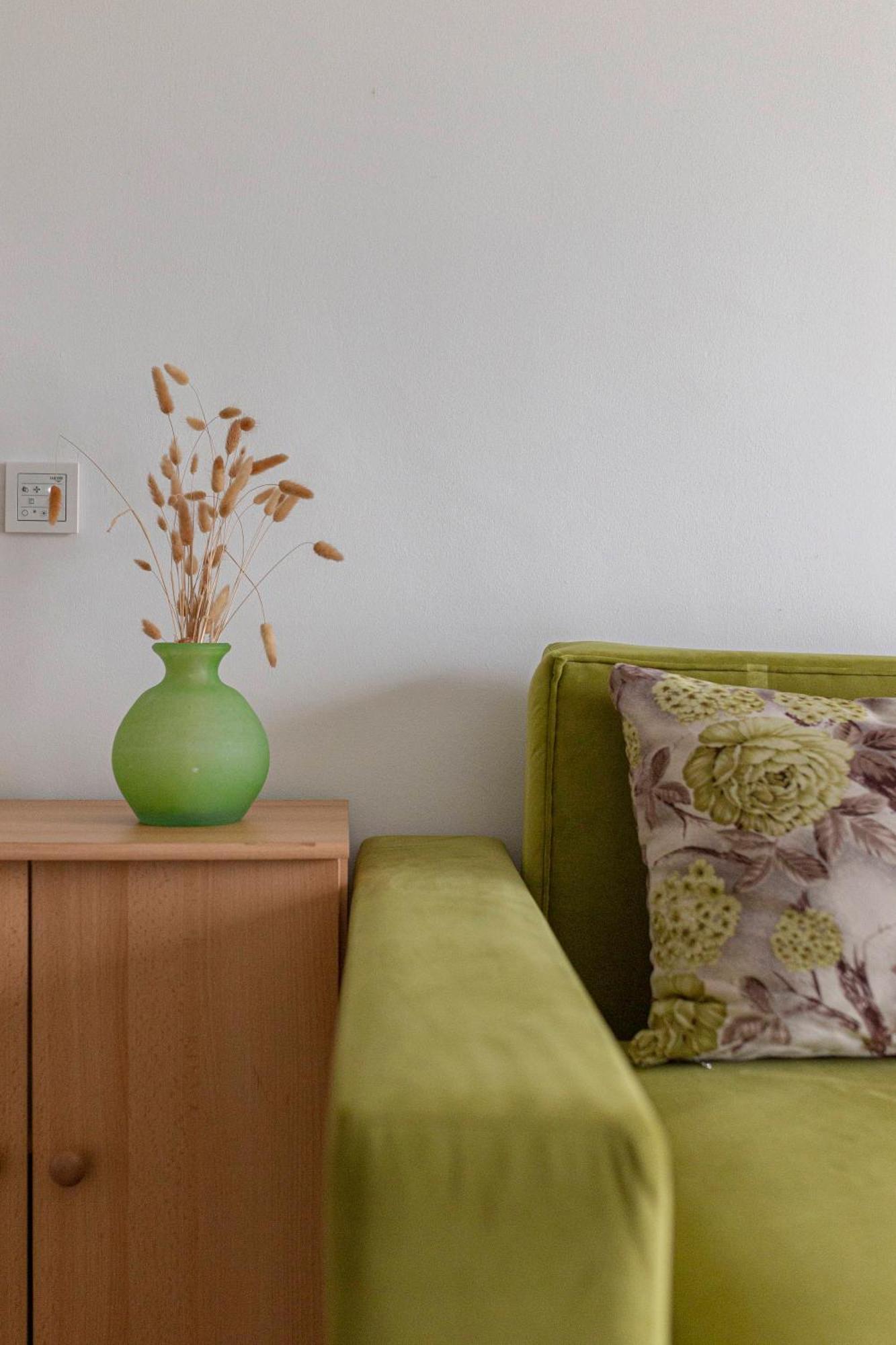 Apartments Znidar Spodnje Gorje 外观 照片